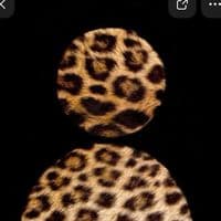 TikTok Account - ihtishaam_dewet