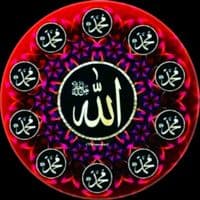 TikTok Account - huzur_islamda99