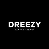 TikTok Account - dreezystatus