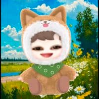 TikTok Account - fidaael_hafni