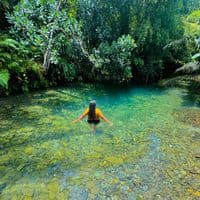 TikTok Account - almaeso7