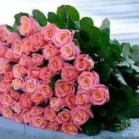 TikTok Account - mm.ll506