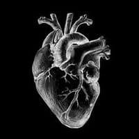 TikTok Account - xi_yazan_ix