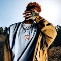 TikTok Account - soulja914