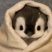 TikTok Account - triple.m881