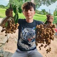 TikTok Account - somsa.444