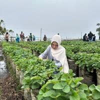 TikTok Account - dirastn__