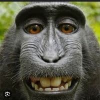 TikTok Account - saif13_tuff