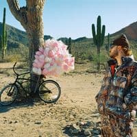 TikTok Account - lenchosoy