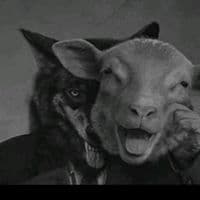 TikTok Account - rxvd09