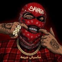 TikTok Account - saif.aldin865