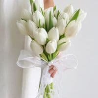 TikTok Account - m.3con52