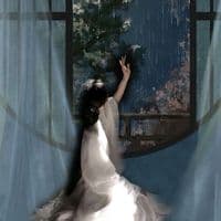 TikTok Account - hts232900