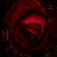 TikTok Account - amour_story6