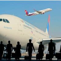 TikTok Account - beautiful.airlines.crew