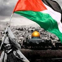 TikTok Account - theshadow.z