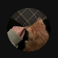 TikTok Account - mughalsqueen55