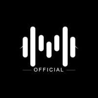 TikTok Account - melodius_official