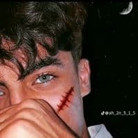 TikTok Account - wesim914