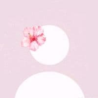 TikTok Account - hassobarry19