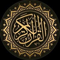 TikTok Account - qwran673