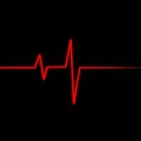 TikTok Account - _nn_n_n