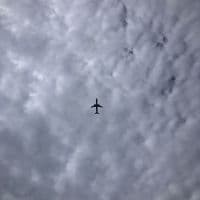 TikTok Account - fredimiranda