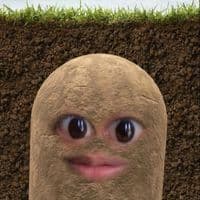 TikTok Account - bibi.boyyy