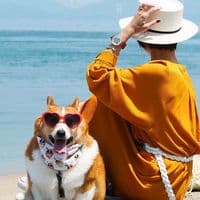 TikTok Account - _kozminka_