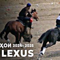 TikTok Account - s7_fan_culub