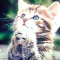 TikTok Account - lwkmoood