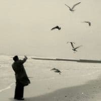 TikTok Account - lix6i