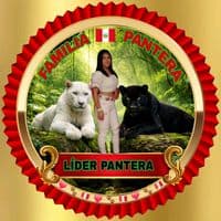 TikTok Account - pantherblack655