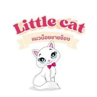 TikTok Account - phichaa20