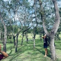 TikTok Account - fseq228