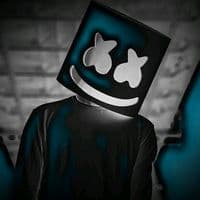 TikTok Account - lyricallamar1