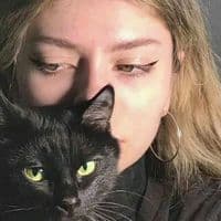 TikTok Account - 2._hlf