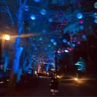 TikTok Account - whynotme926