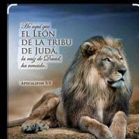 TikTok Account - cmo.el.samaritano