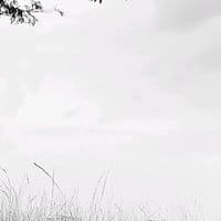 TikTok Account - andres_0872