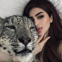 TikTok Account - llaixxxlk