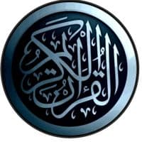 TikTok Account - 8_h_k_6