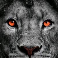 TikTok Account - ramiramo0102