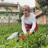 TikTok Account - ay_suun_53