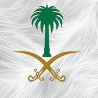 TikTok Account - b__e005