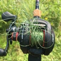 TikTok Account - strikeletopz_