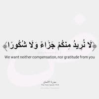 TikTok Account - habib.alkhir