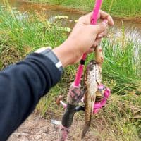 TikTok Account - yhati65