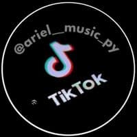 TikTok Account - ariel__music_py