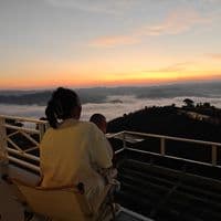 TikTok Account - aryin14